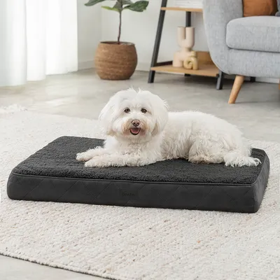 lionto lit orthopédique pour chien avec coussin lavable doux