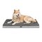 lionto lit orthopédique pour chien avec coussin lavable doux 112 x 81 x 8 cm, Gris