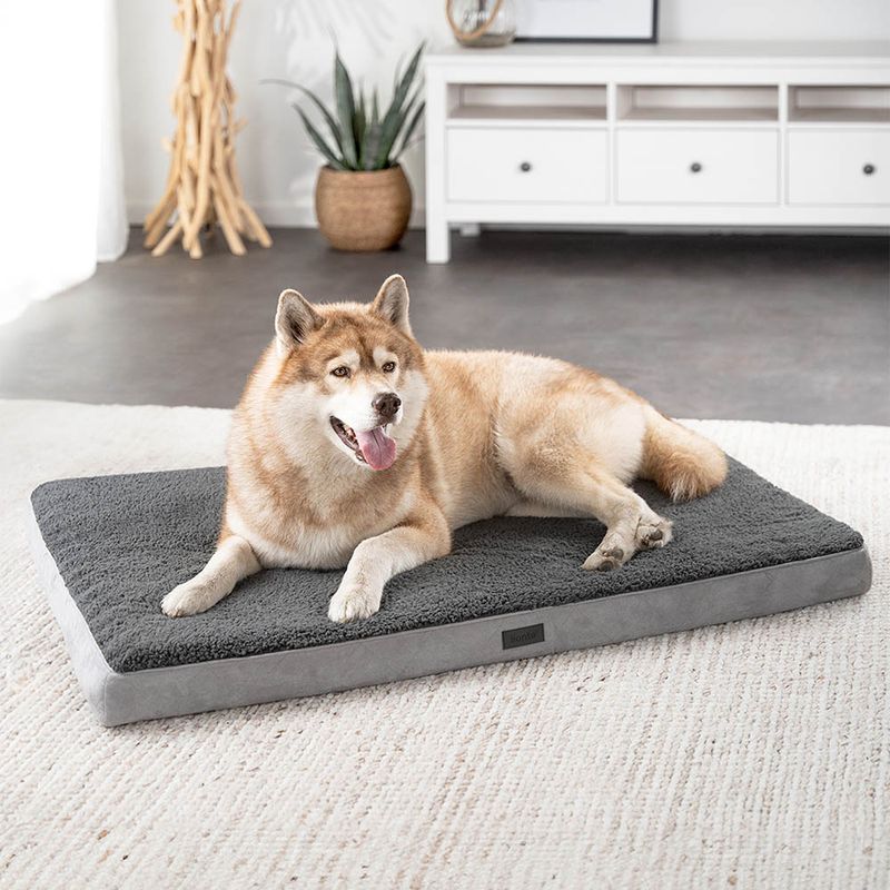 lionto lit orthopédique pour chien avec coussin lavable doux