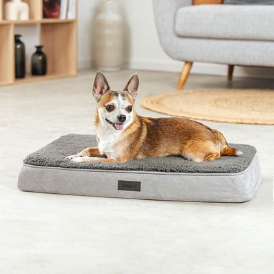 lionto orthopädisches Hundebett mit weichem, waschbarem Kissen