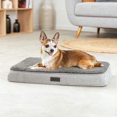 lionto orthopädisches Hundebett mit weichem, waschbarem Kissen