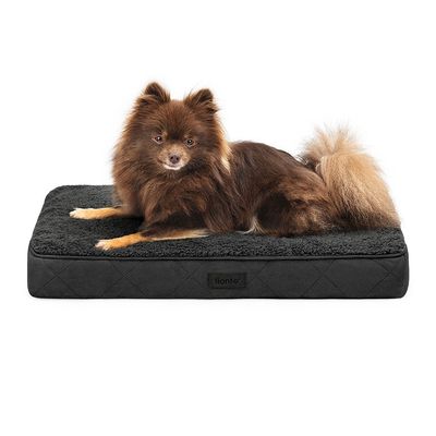lionto lit orthopédique pour chien avec coussin lavable doux 60 x 40 x 8 cm, Noir