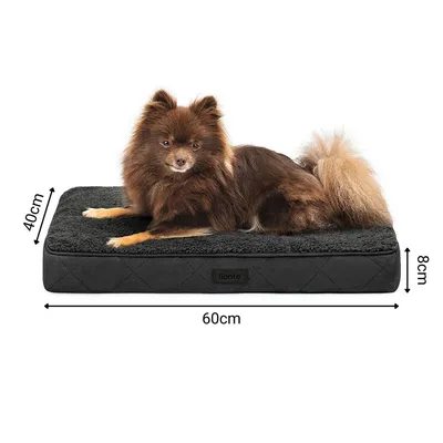 lionto lit orthopédique pour chien avec coussin lavable doux lionto lit orthopédique pour chien avec coussin lavable doux