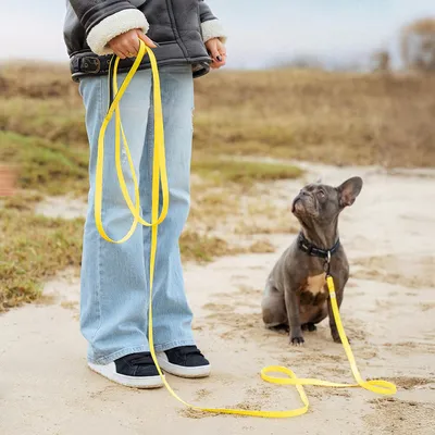 lionto laisse de traction longue pour chiens nylon avec revêtement PVC