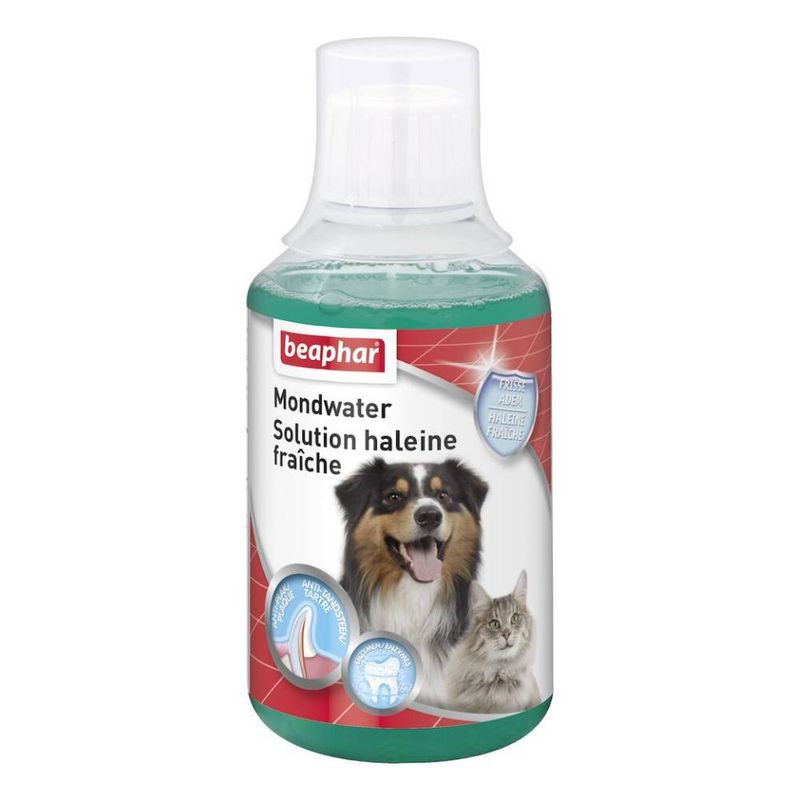 Beaphar Solution haleine fraîche pour chien et chat