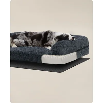 Feandrea FluffyHug Canapé pour Chiens Moyens, Housse Amovible Lavable Feandrea FluffyHug Canapé pour Chiens Moyens, Housse Amovible Lavable