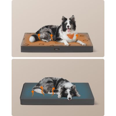 Feandrea Lit pour Chiens, avec Poignée, Déhoussable, Utilisable des 2 Côtés