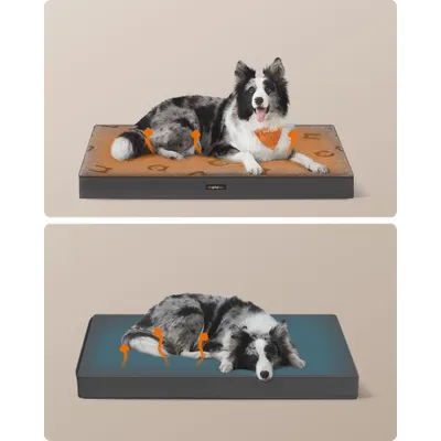 Feandrea Lit pour Chiens, avec Poignée, Déhoussable, Utilisable des 2 Côtés Feandrea Lit pour Chiens, avec Poignée, Déhoussable, Utilisable des 2 Côtés