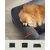 Feandrea Panier, Canapé, Lit pour Chiens jusqu'à 18 kg Feandrea Panier, Canapé, Lit pour Chiens jusqu'à 18 kg