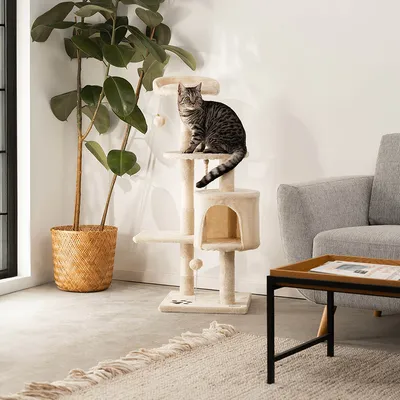 lionto arbre à chat avec boules en peluche, corde sisal et grotte