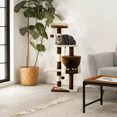 lionto arbre à chat avec boules en peluche, corde sisal et grotte