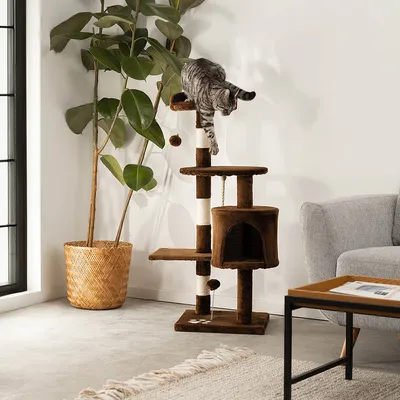 lionto arbre à chat avec boules en peluche, corde sisal et grotte