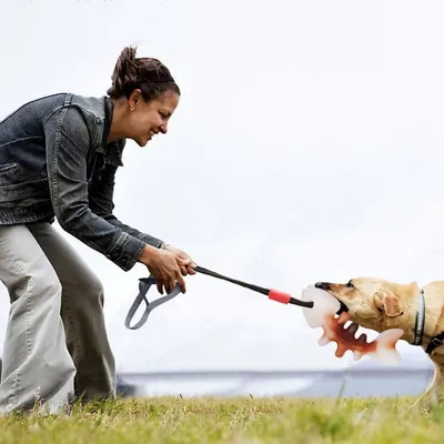 ZenPets Jouet pour chien en forme d'arête de poisson