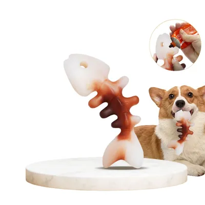 ZenPets Jouet pour chien en forme d'arête de poisson