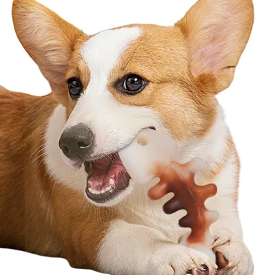 ZenPets Jouet pour chien en forme d'arête de poisson