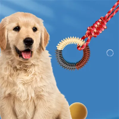 ZenPets Jouet en corde de coton pour chiens à grignoter