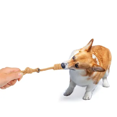 ZenPets Collection de jouets en noeuds de coton pour chiens