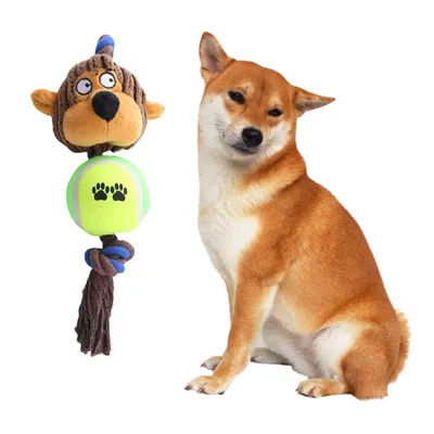 ZenPets Collection de jouets en noeuds de coton pour chiens