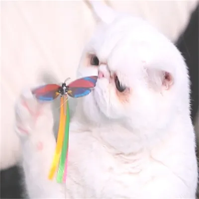 ZenPets Jouet électronique papillon pour chats