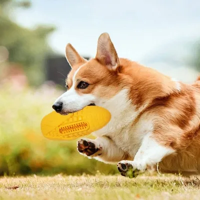 ZenPets Jouet pour chien en forme de maïs