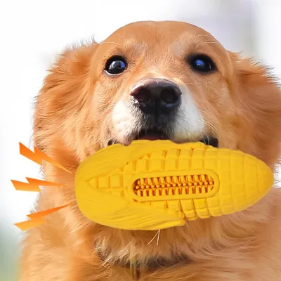 ZenPets Jouet pour chien en forme de maïs