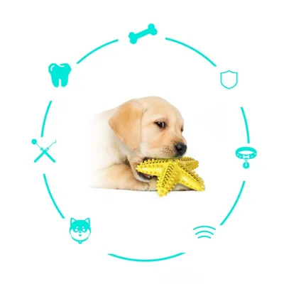 ZenPets Jouet pour chien étoile de mer