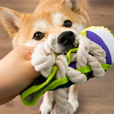 ZenPets Sandales jouets sonores pour chiens