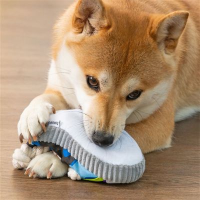 ZenPets Sandales jouets sonores pour chiens