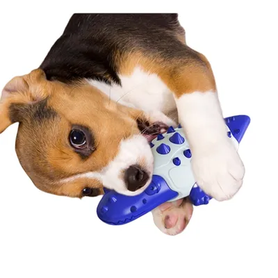 ZenPets Jouet pour chien alligator