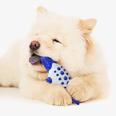 ZenPets Jouet pour chien alligator