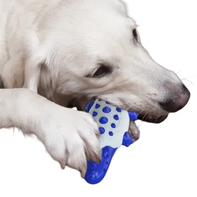 ZenPets Jouet pour chien alligator