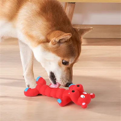 ZenPets Jouet sonore en latex pour chiens