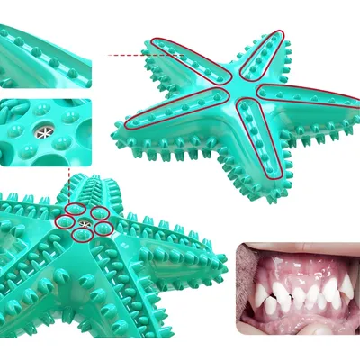 ZenPets Jouet pour chien étoile de mer