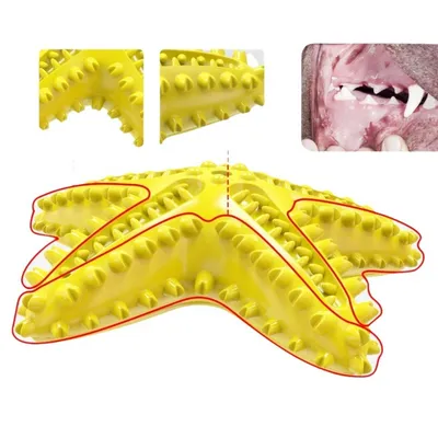ZenPets Jouet pour chien étoile de mer