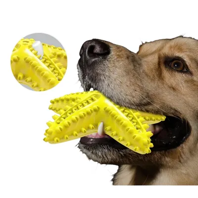 ZenPets Jouet pour chien étoile de mer