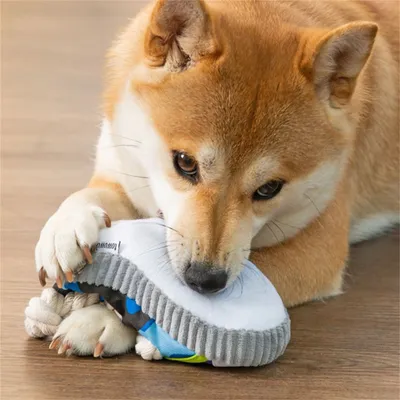 ZenPets Sandales jouets sonores pour chiens