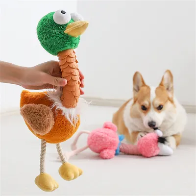 ZenPets Jouet oiseau moche pour chiens