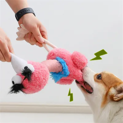 ZenPets Jouet oiseau moche pour chiens