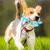 ZenPets Jouet pour chien requin