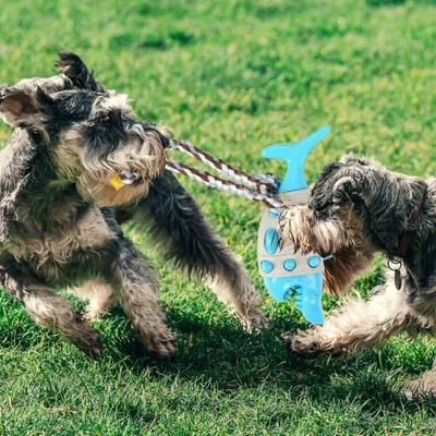 ZenPets Jouet pour chien requin