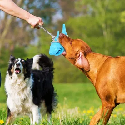 ZenPets Jouet pour chien requin