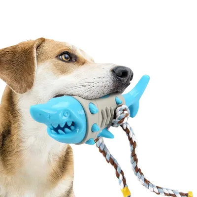 ZenPets Jouet pour chien requin
