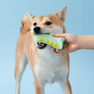 ZenPets Jouet en caoutchouc dinosaure vert pour chien