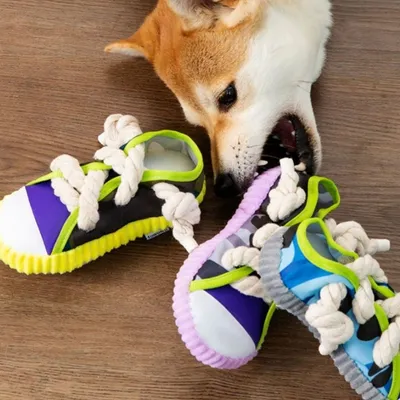 ZenPets Jouet pantoufle pour chien