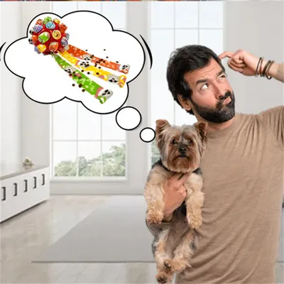 ZenPets Balle à friandises pour animaux de compagnie