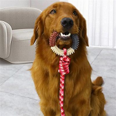 ZenPets Jouet en corde de coton pour chiens à grignoter