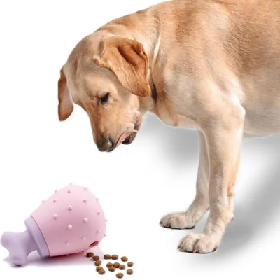 ZenPets Jouet pour chien Leaky Food