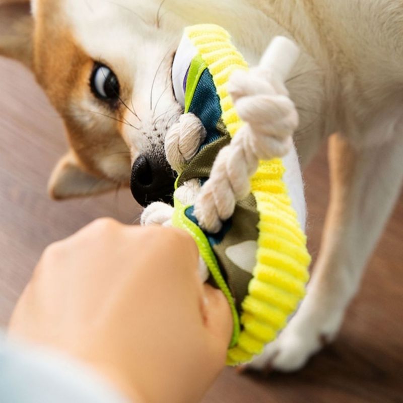 ZenPets Jouet pantoufle pour chien
