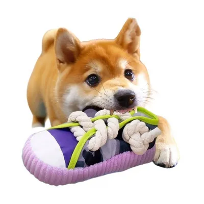 ZenPets Jouet pantoufle pour chien