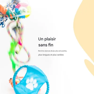 IntiMeg Kit de jouets pour chiens